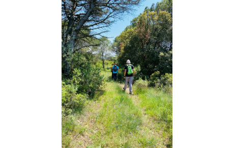 MARCHE NORDIQUE AU PAYS D'ARAGON